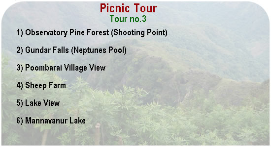 picnic tour kodaikanal